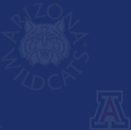University of Arizona