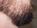 Return Of The Bearded Man #15