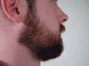 Return Of The Bearded Man #16