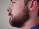 Return Of The Bearded Man #17