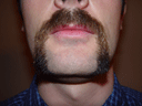 Return Of The Bearded Man #55