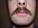 Return Of The Bearded Man #62