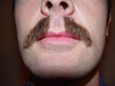 Return Of The Bearded Man #66
