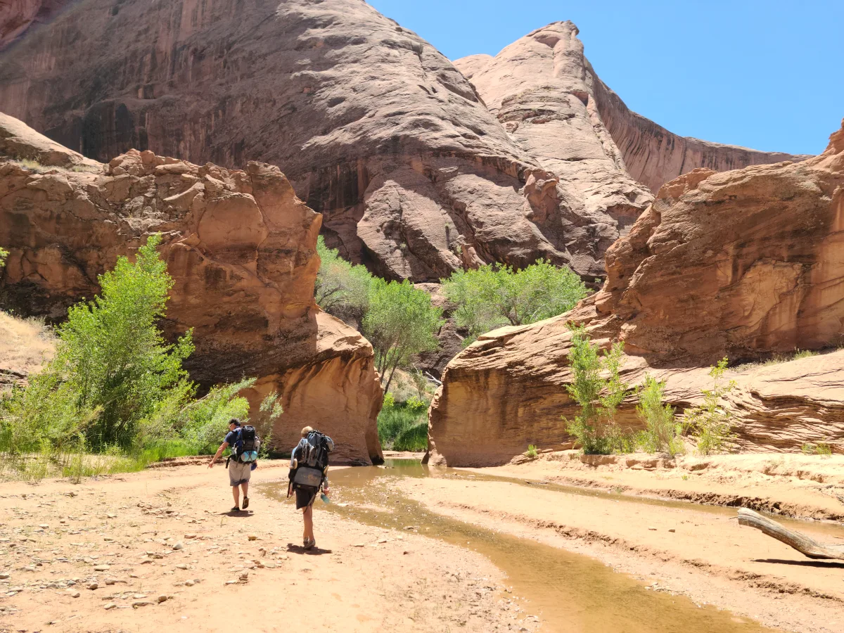 Coyote Gulch creek winding beneath Navajo sandstone walls in spring